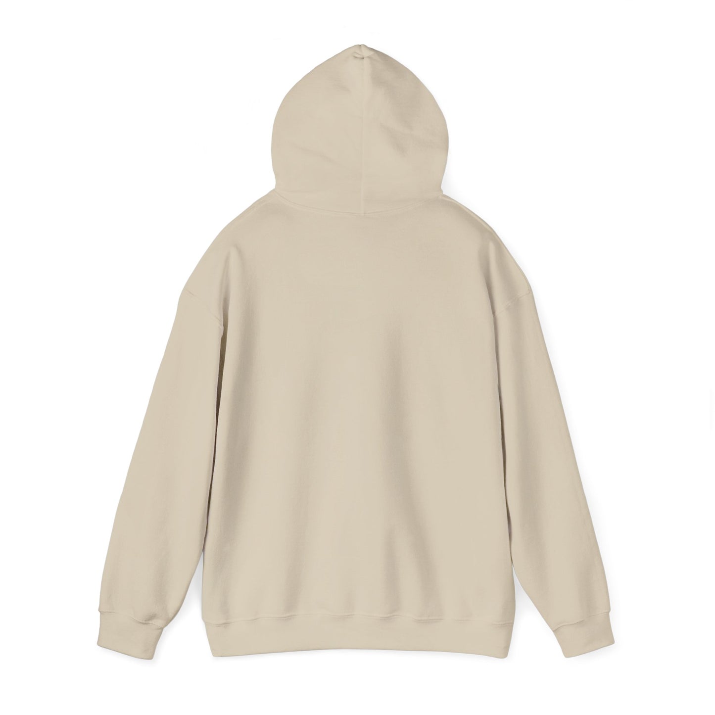 Cost of Living Request Denied Hoodie | receipt aesthetic, budget humor