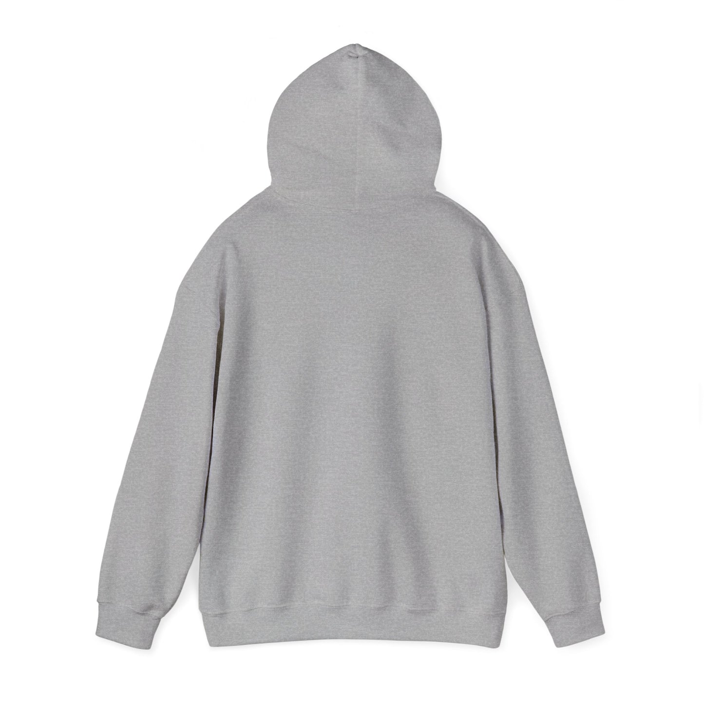 Cost of Living Request Denied Hoodie | receipt aesthetic, budget humor