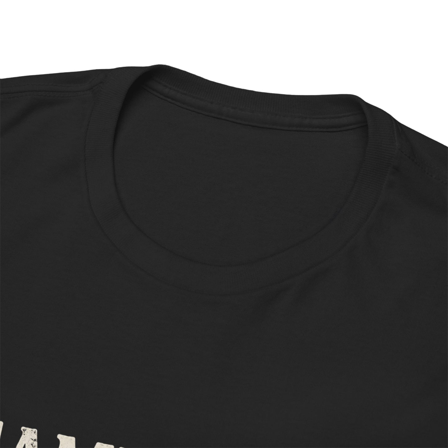Same Shit Different President Tee | Political Satire, Distressed White Text