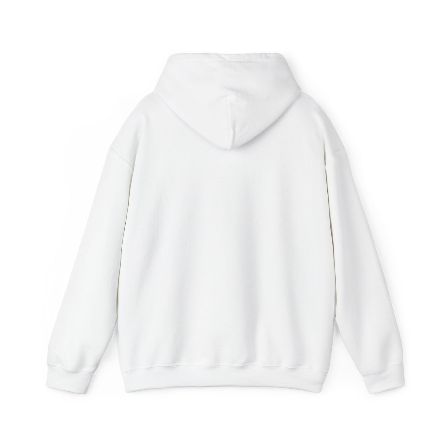 Cost of Living Request Denied Hoodie | receipt aesthetic, budget humor